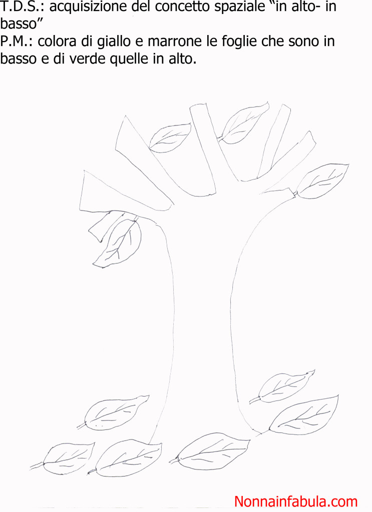 albero