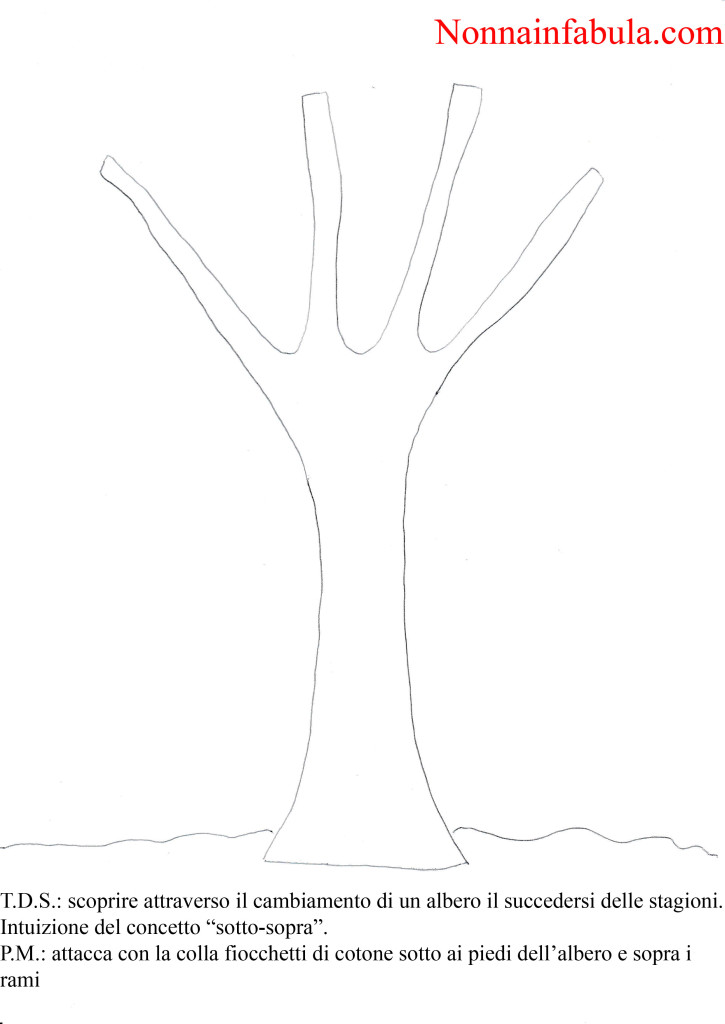 albero
