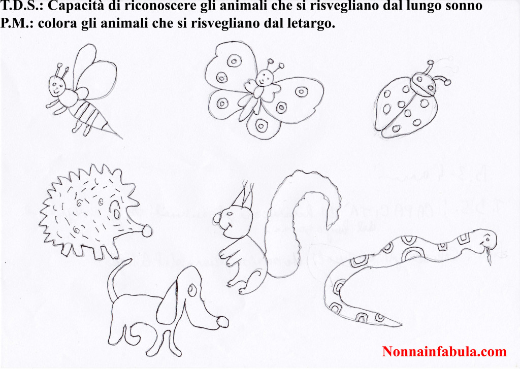 animaletti color