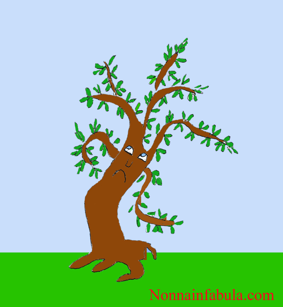 albero ulivo