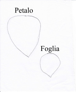 petalo foglia