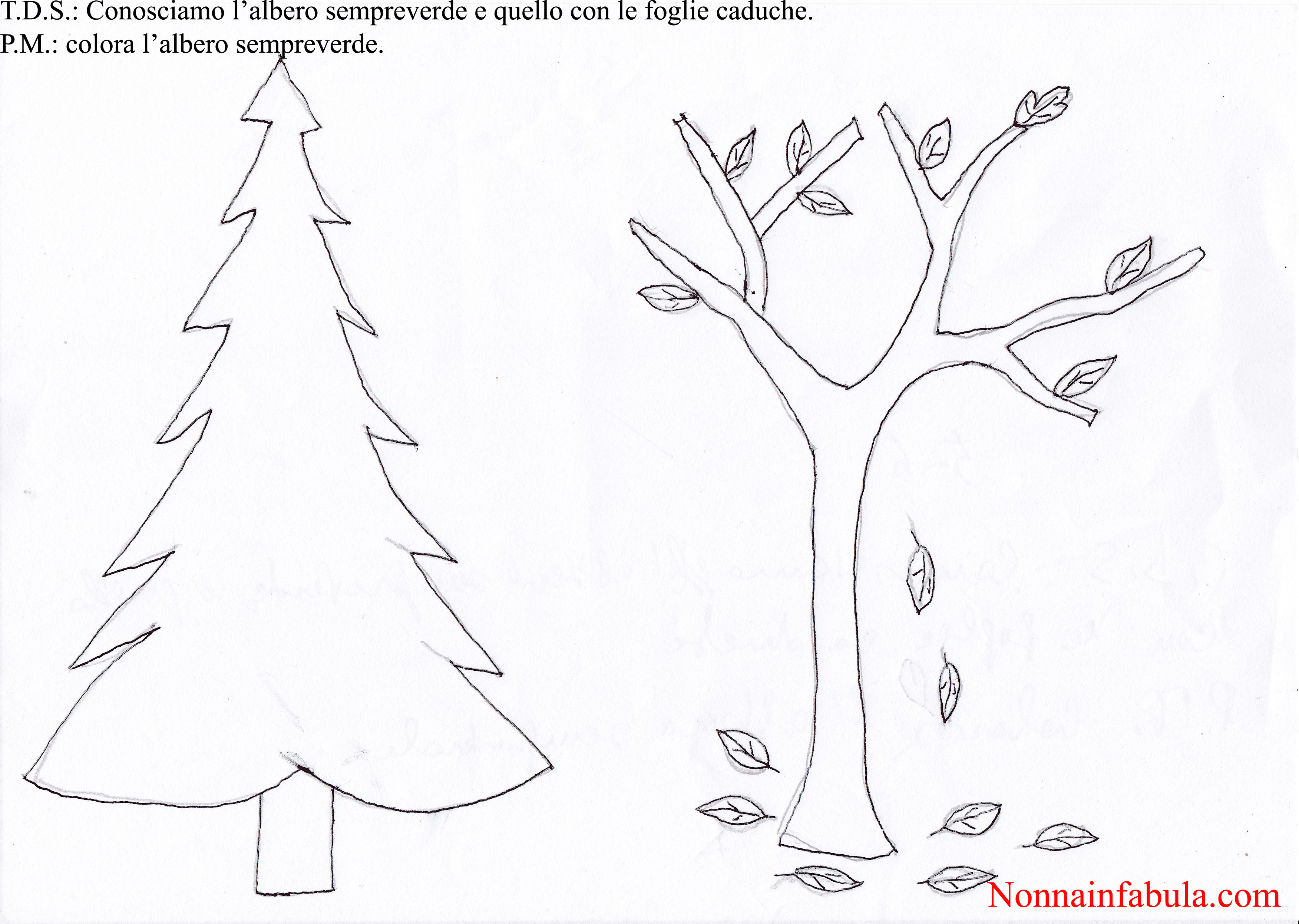 Poesie Di Natale Per Bambini Di Prima Elementare.Progetto Natale Per Bambini Di 5 6 Anni Rivolto Agli Insegnanti Nonna In Fabula