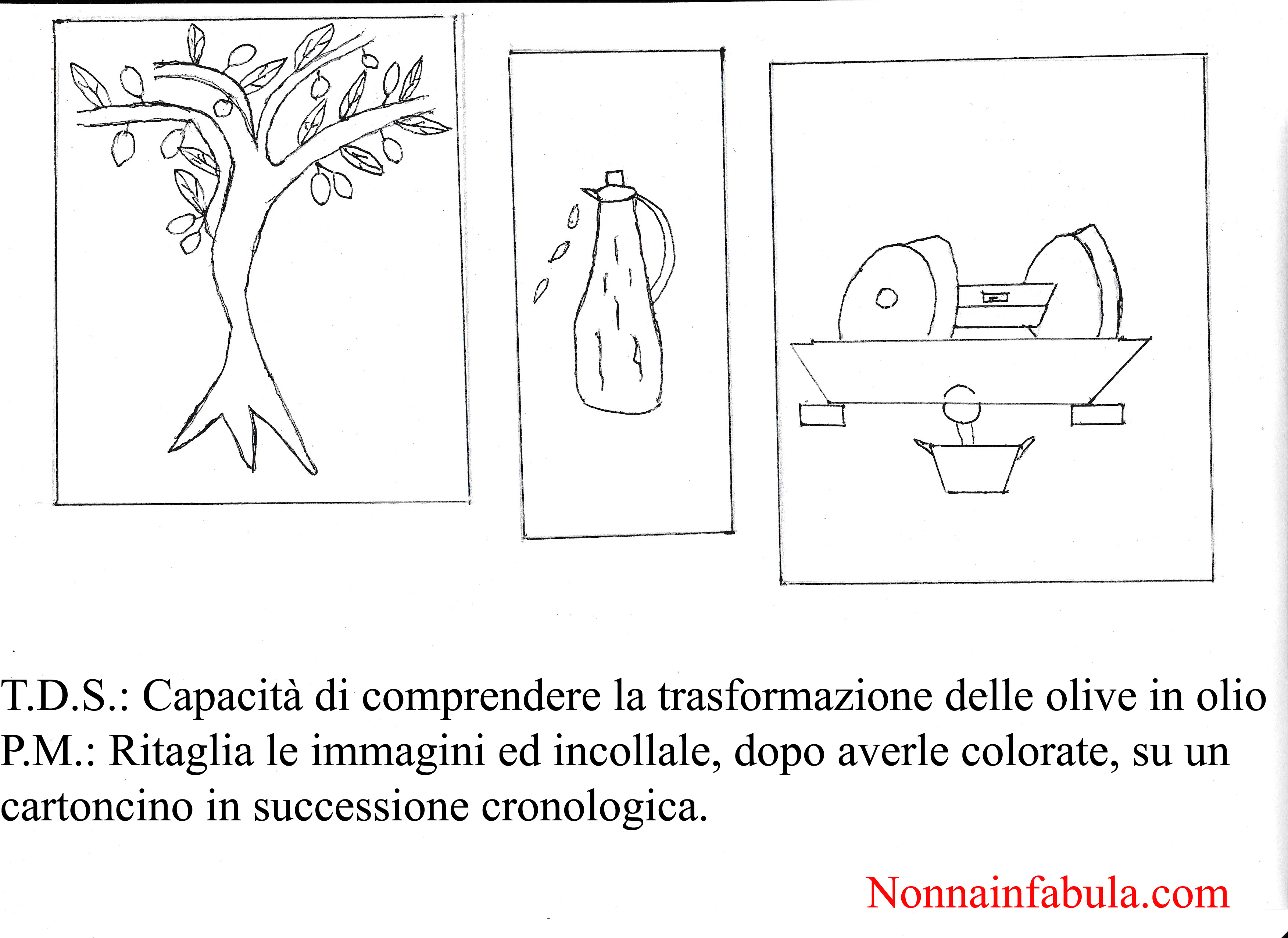 Progetto Storia Dell Ulivo Per Bambini Di 5 6 Anni Rivolto Agli Insegnanti Nonna In Fabula