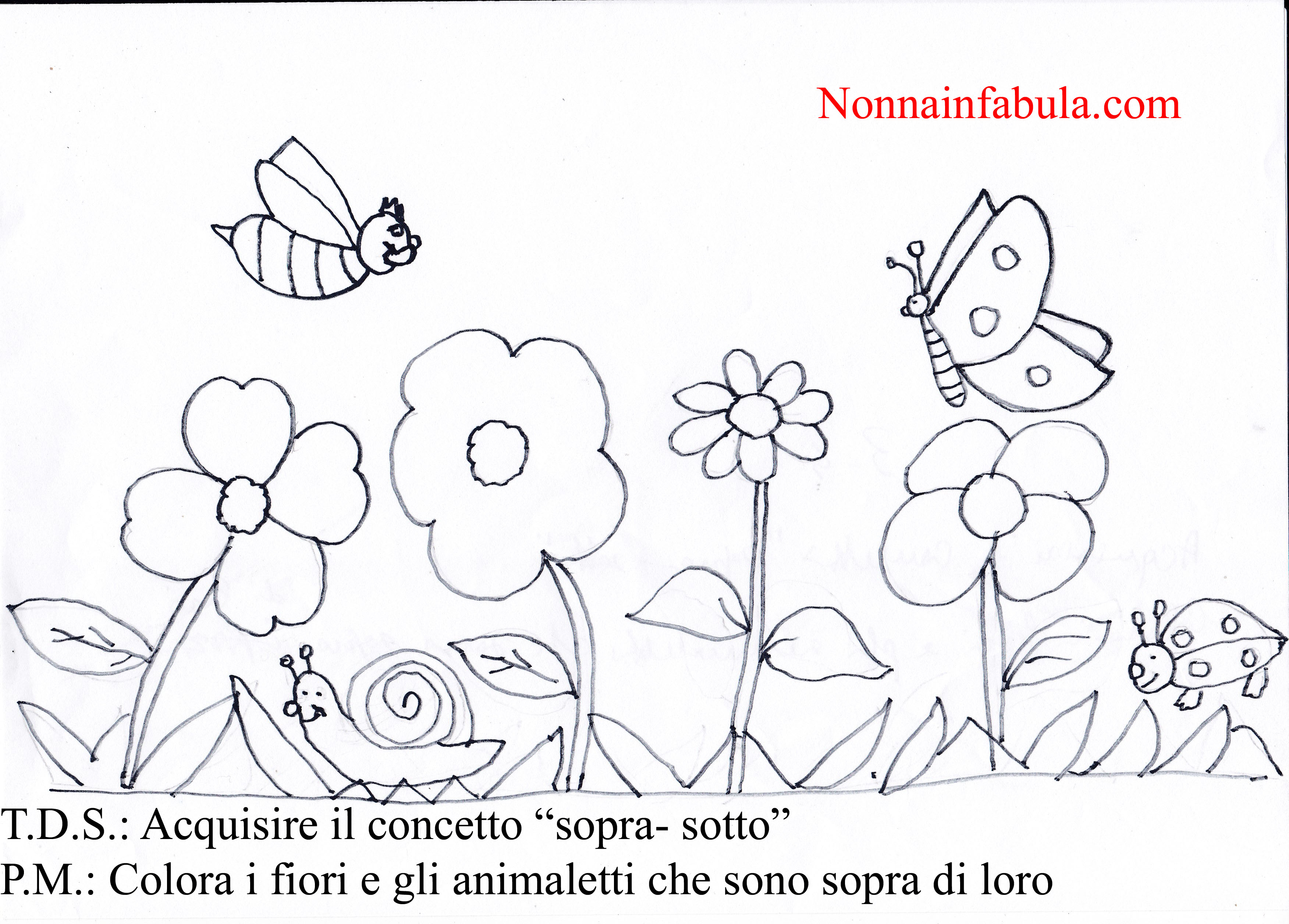 Progetto I Fiori Per Bambini Di 3 4 Anni Nonna In Fabula