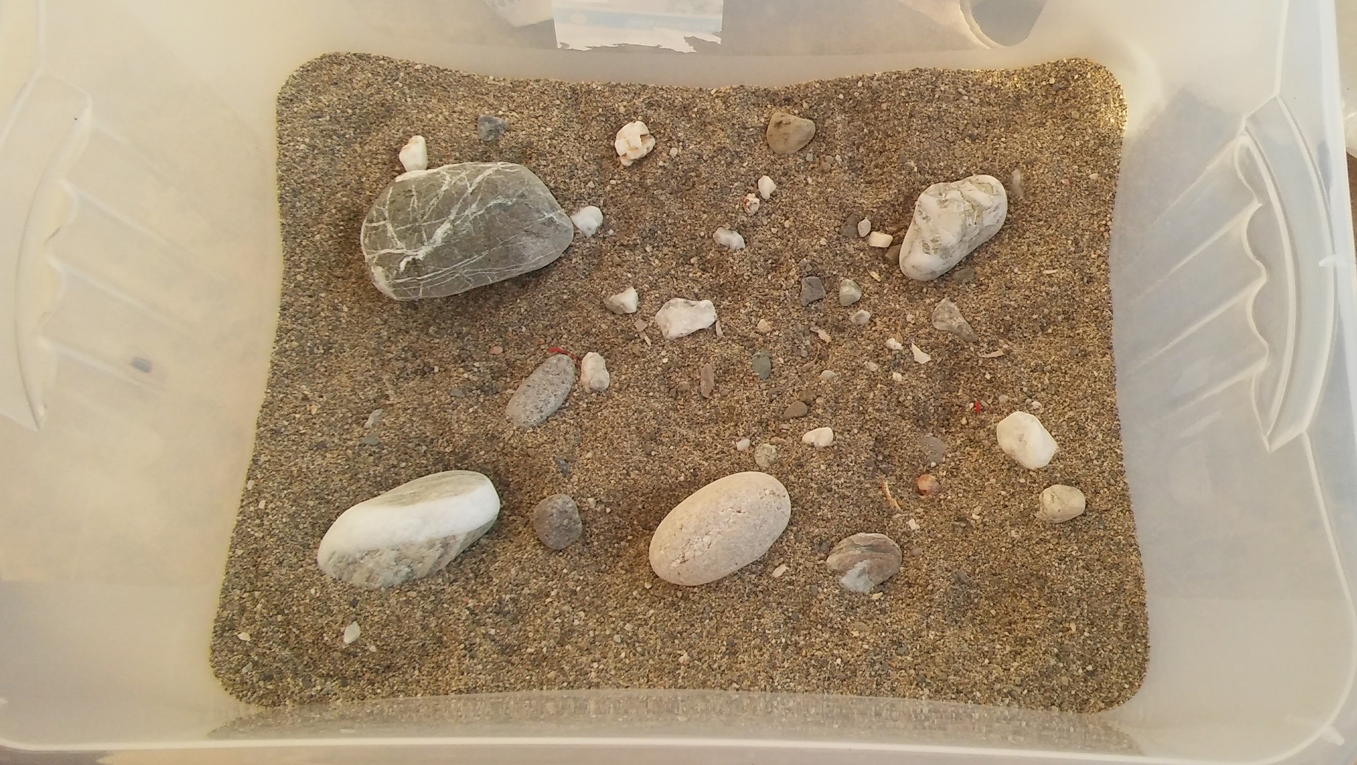 fondale marino con sassi e sabbia